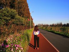 -上海长兴岛郊野公园