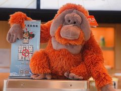 -ZOO COFFEE动物园咖啡(望京锐创店)