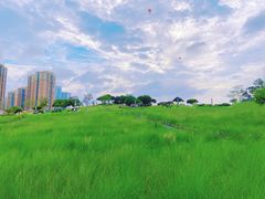 -红花山公园