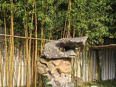 -个园