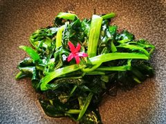 -王府茶楼茶宴·创意菜(大观园总店)