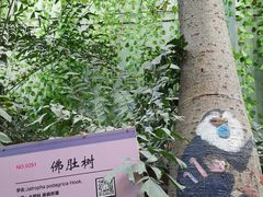 -呀路古热带植物园
