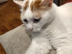 -B.O.M波姆烘焙(凤凰街店)
