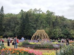-深圳仙湖植物园
