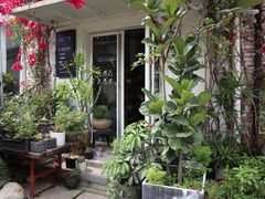 -蓝山四季西餐植物店