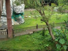 -广东惠东海龟国家级自然保护区