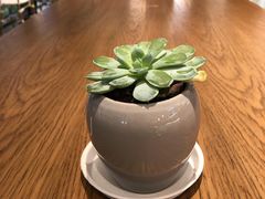 -Peet's Coffee皮爷咖啡(万象天地店)