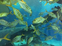 -福州罗源湾海洋世界旅游区