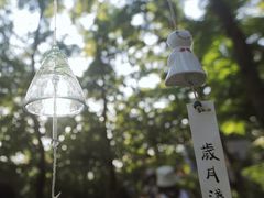 -北马山庄植趣咖啡