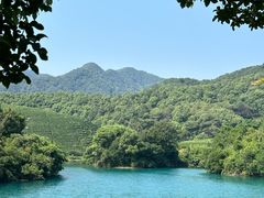 -龙坞茶村