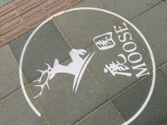 -鹿园 MOOSE(长宁店)