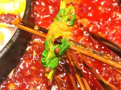 -钢管厂歆瑞源油卤串串香(春熙路太古里店)
