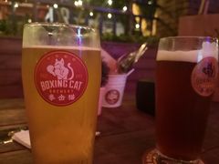 -Boxing Cat Brewery拳击猫精酿啤酒馆(永福店)