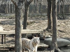 -常州淹城野生动物世界