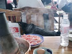 -东镇老火锅(长春路首店)
