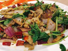 孜然牛肉-东北人粗粮饺子坊(南山店)