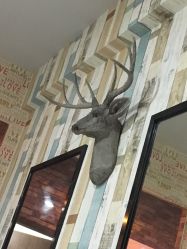 -BM SALON