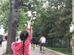 -Global酒吧(五道口店)