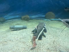 -洛阳龙门海洋馆