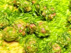 -大鼎石锅鱼(春江里店)