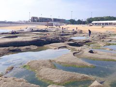 -前王院•巧克力海鲜市集餐厅(万平口店)