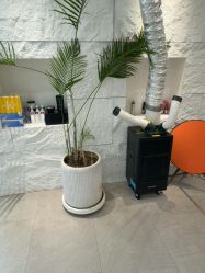 -BOF HAIR BY HONTO