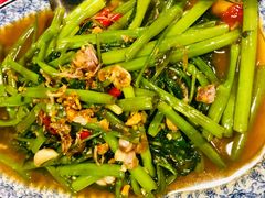 -卷心菜和避孕套餐厅(Pattaya)