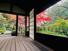 -中国茶叶博物馆(双峰馆区)