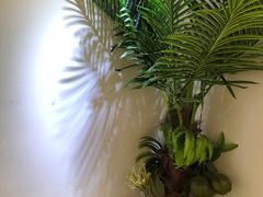 -津椰本·海南正宗椰奶清补凉(店一店)