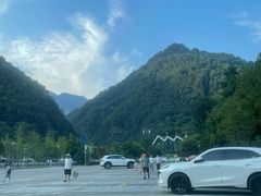 -牛背梁国家森林公园