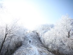 -湖州龙王山景区