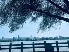 -济南大明湖景区