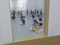 -西安小天鹅艺术团(金花路校区)