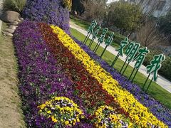 -昆山城市生态森林公园