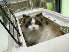 -嘉馨宠物医院·CT影像转诊·心脏科·犬猫全科诊疗中心(下沙大学城院区)