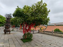 -宝通禅寺