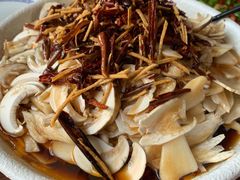 山野松茸-宣威山野人家·云南菜·菌火锅(金碧店)