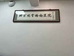 -北京观赏动物医院·24小时大型综合·猫专科·异宠专科