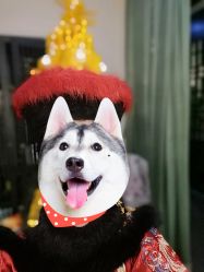 -盘子女人坊古装写真摄影(天津总店)