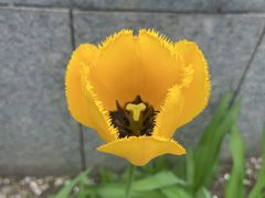 -沈阳植物园
