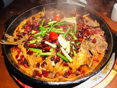 老板恋上鱼-老板恋上鱼(高新万达店)