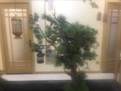 -芳朵美容养生SPA