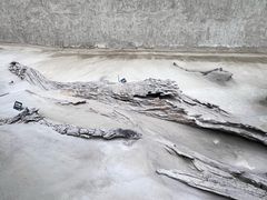 -金沙遗址博物馆
