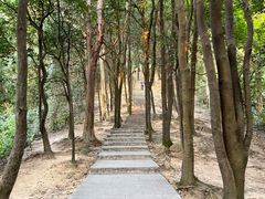 -火炉山森林公园