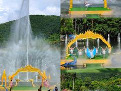 -西双版纳原始森林公园