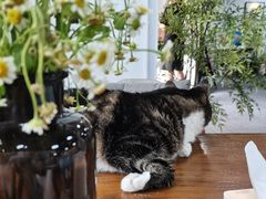 -青沐画室·专业美术培训