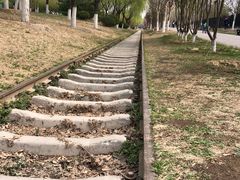 -永定河休闲森林公园