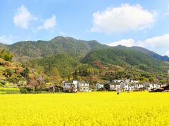 -婺源风景区