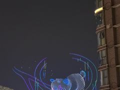 -重庆两江夜游-交运系列