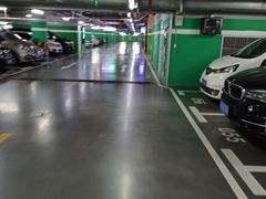 -白玉兰广场停车场